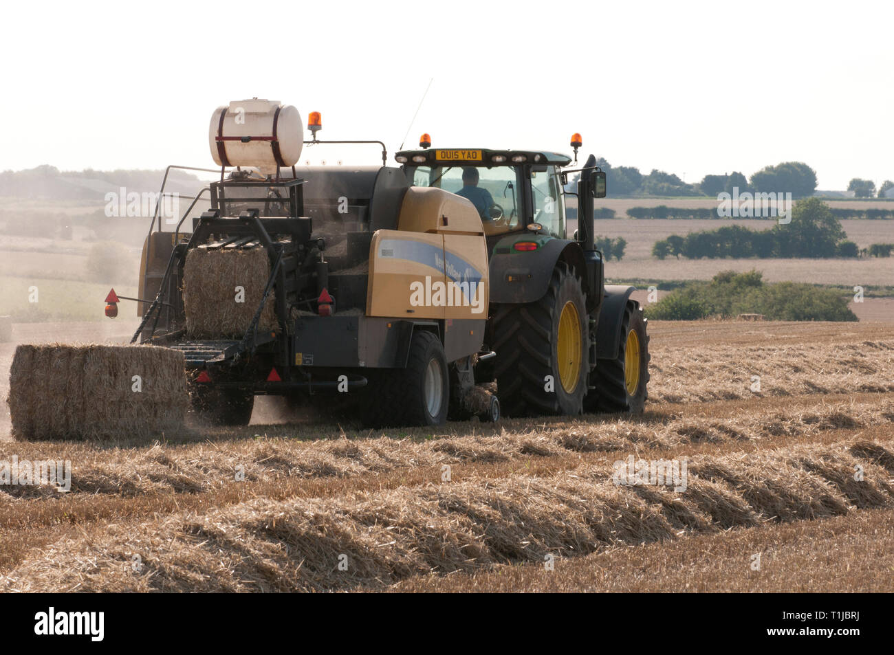 Trockenes Stroh wird gesammelt und in Stroh ballen Stockfoto