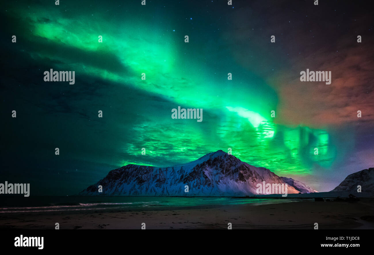 Aurora Borealis (Nordlicht) über Skagsanden Strand. Lofoten, Norwegen Stockfoto