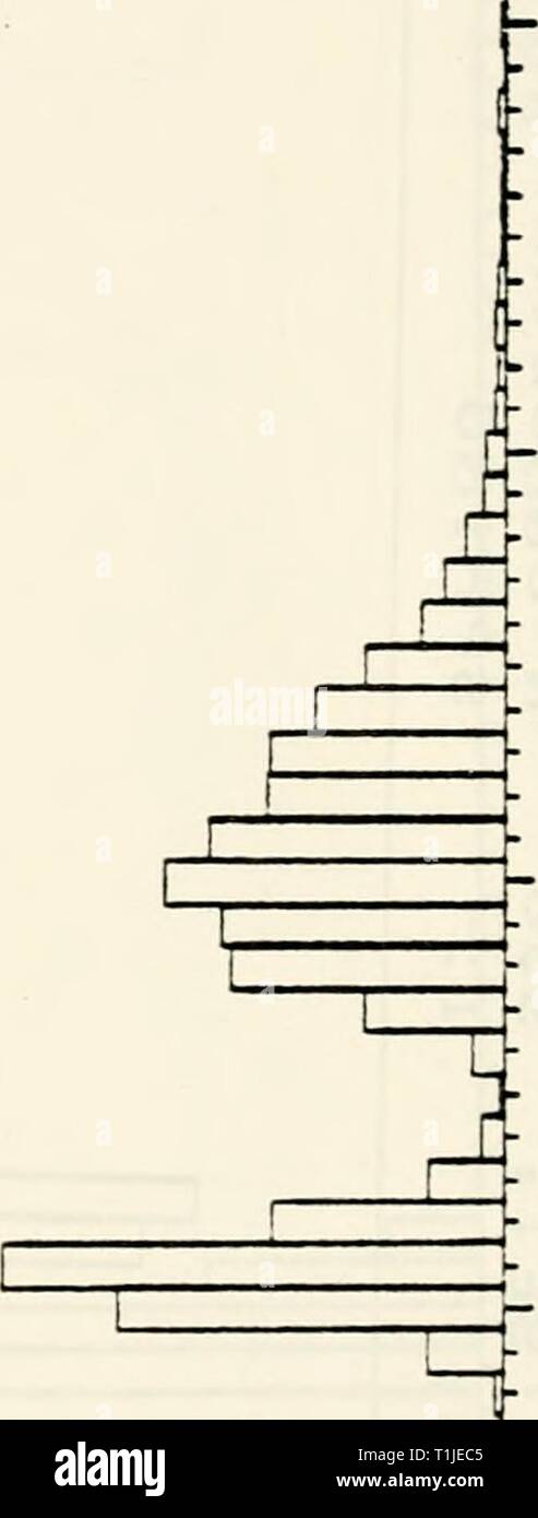 Verbreitung und Häufigkeit Trends von Verteilung und Häufigkeit Trends von 22 ausgewählten Arten im mittleren Atlantik Bucht von Grundschleppnetzen Besichtigungen während 1967-1979: Abschlussbericht an den US-Mineral [s] Management Service distributionabun 1985 Einheit Jahr: 1985 c n LU T 0 u E-en Cr ll U LL 0&gt;-LU h -&gt; T Cm 0 Dr - 0 U 1 m o z âi Ql 1 â 1 Jffl D&gt;-c Z 0 U Q cr in Z-ul-c-i-o Z - r n abl-y â â¢ i-S -&gt; - * 4 , Iâ â¡2 D1-U LU LL M TN-Id en it Z UJ CR-Z*-H H D in u Cr en lL III A: cr Ich Â £ L H-LU2CO Wenn) W • D i: ii: i; IMM TT i i i i; T in c0 LU LU-I4J**0) tn Stockfoto