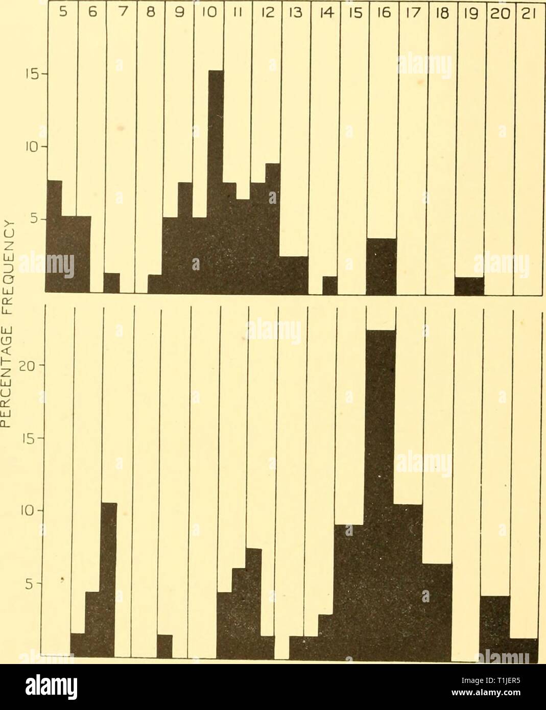 Reports (1947) Entdeckung berichten discoveryreports 23 inst Jahr: 1947 328 Entdeckung berichten die gepoolte Länge Frequenzen eine starke Mode bei i 6 cm., die wahrscheinlich Il-Gruppe Fische zeigen. Hinweise von submodi bei 7 und bei 12 cm. Kann die o Geben - und ich - Gruppen. Die extreme reichen in der Länge beobachtet wurde, 6-21 cm. Die mittlere Tiefe, in der wir N. jordani gefangen war 54 m. und die Differenz von 28 m tiefer als der Mittelwert für TV. canina ist statistisch signifikant. Die extreme Tiefe beobachtet wurde, 27-82 m. Dadurch Die tiefe Verteilung scheint sehr begrenzt zu sein, die Arten, con Stockfoto