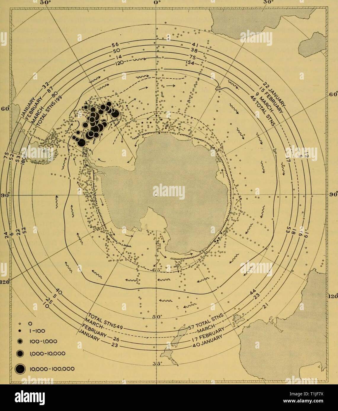 Reports (1964) Entdeckung berichten discoveryreports 32 inst Jahr: 1964 horizontale Verteilung, WACHSTUM UND DYNAMIK DER VERBREITUNG 359:®-lOO-l. OOO: 1,000-10.000 &Lt;fi) 10.000-100.000 ISO' W180°E ISO-Bild, nein. Verteilung der massierten Oberfläche Larven im Sommer, basierend auf der schrägen und horizontale stramin Netze. Ice-kante Februar bedeuten. Stockfoto