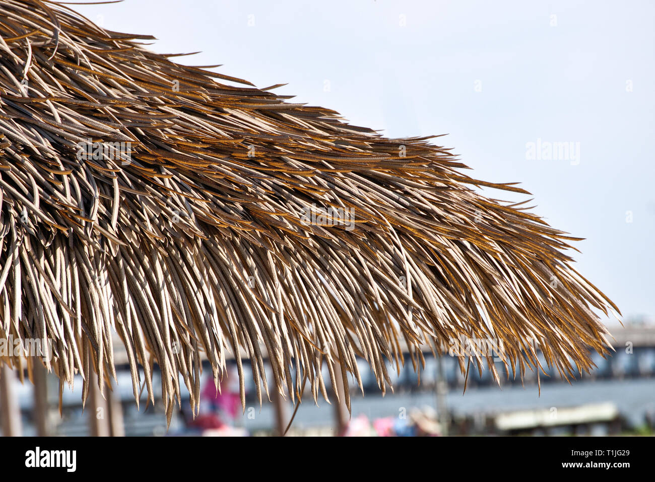 Grasdach Schatten struktur am Strand Stockfoto