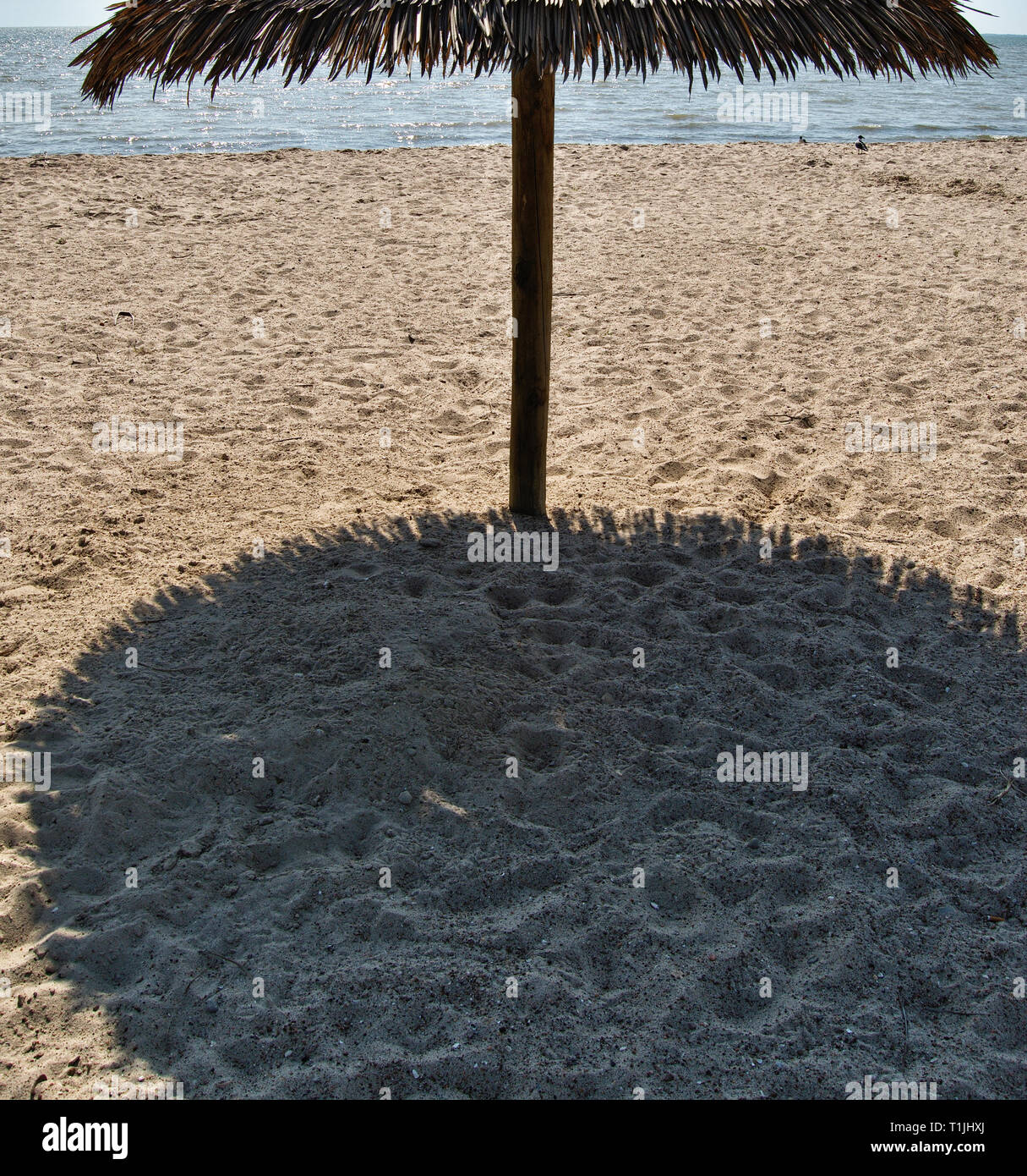 Grasdach Schatten struktur am Strand Stockfoto