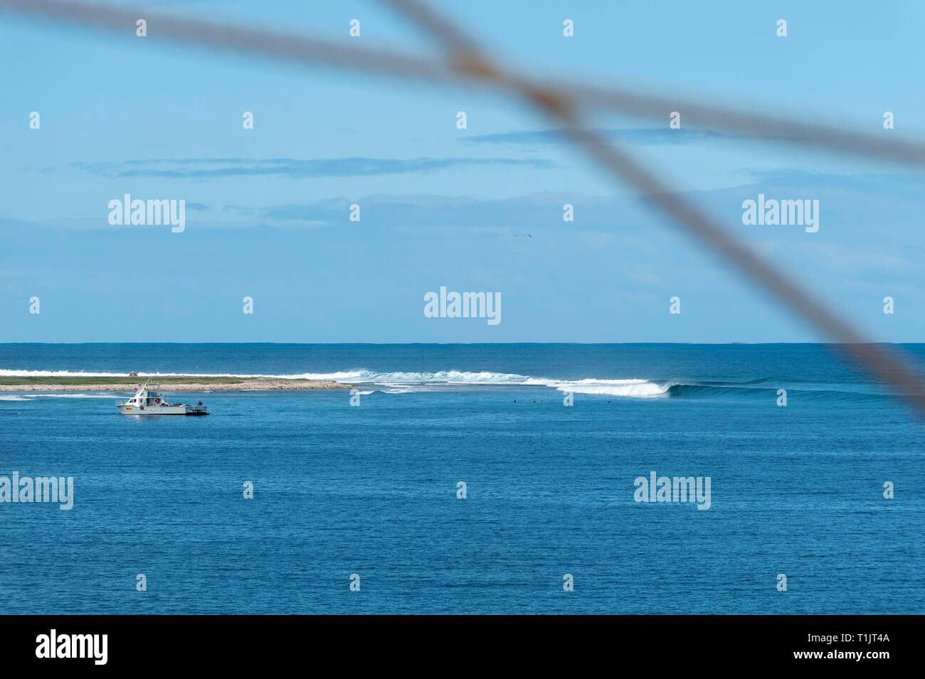 Surfen in der Houtman Abrolhos. Die Houtman Abrolhos Inseln liegen 60 Kilometer vor der Küste von Geraldton in Western Australia. Es gibt 122 pristin Stockfoto