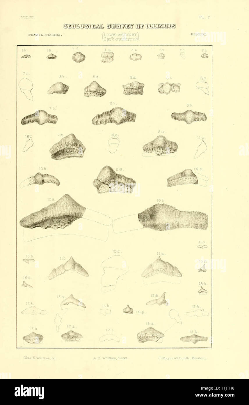 Geologische Übersicht von Illinois Stockfoto