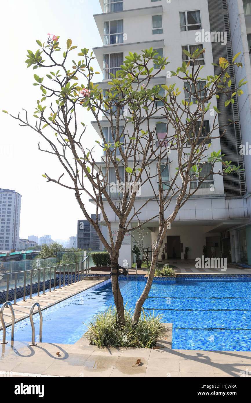 Modernes Apartment Wohnanlage mit Schwimmbad in JKuala Lumpur Malaysia Stockfoto