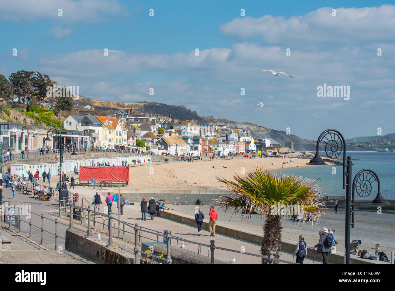 Lyme Regis, Dorset, Großbritannien. 27. März 2019. UK Wetter: Wieder ein Tag der herrlich warmen Sonnenschein und strahlend blauen Himmel an der Küste von Lyme Regis, der Südküste genießt mehr ungewöhnlich hohe Temperaturen im frühen Frühjahr Hitzewelle. Credit: Celia McMahon/Alamy leben Nachrichten Stockfoto