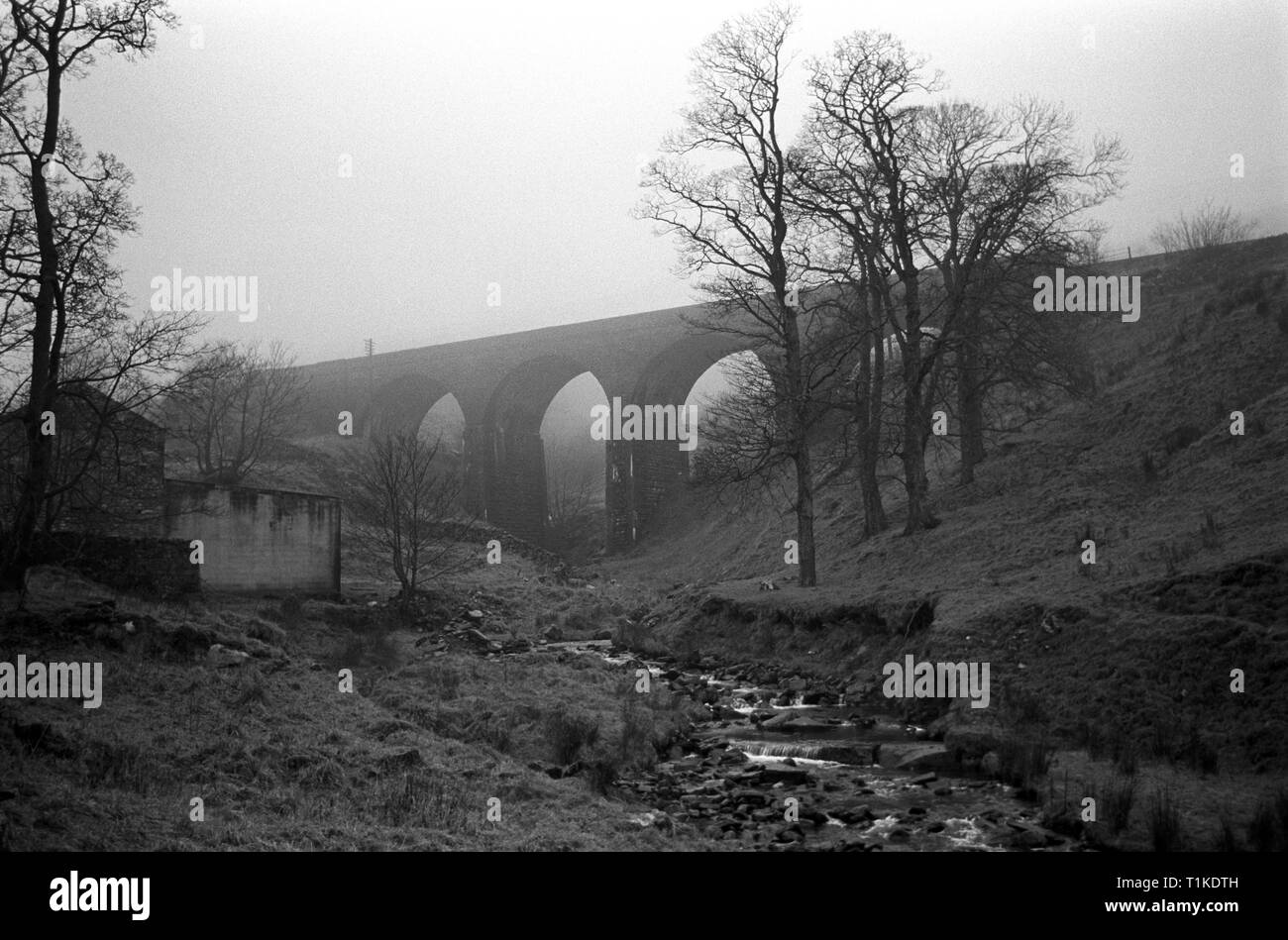Viadukt im Nebel auf der Bahnstrecke nach Carlisle vereinbaren, Nordengland Stockfoto
