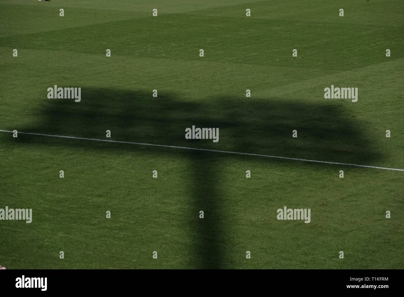 Stadion lichter Schatten ist auf dem outfield Gras auf einem Baseballfeld werfen. Stockfoto