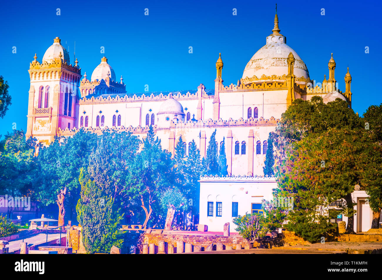 Die acropolium, auch als Saint Louis Kathedrale von byrsa-Karthago, Tunis, Tunesien bekannt Stockfoto