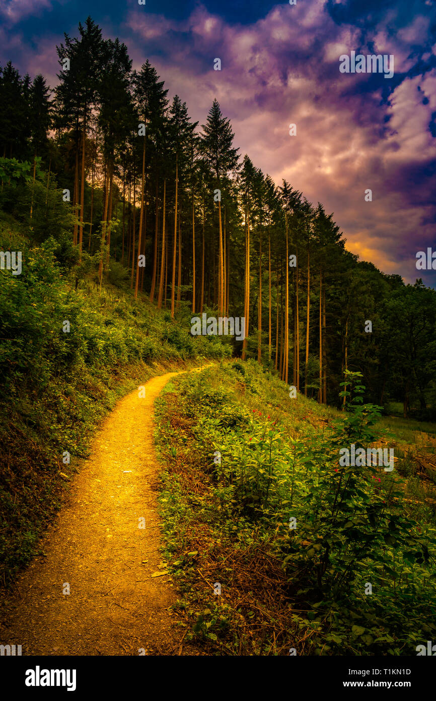 Schöne Landschaft mit der Weg in die Berge Wald bei Sonnenuntergang. Wanderweg in atemberaubender Panoramablick, inspirierenden Sommer Landschaft im Vordergrund Stockfoto