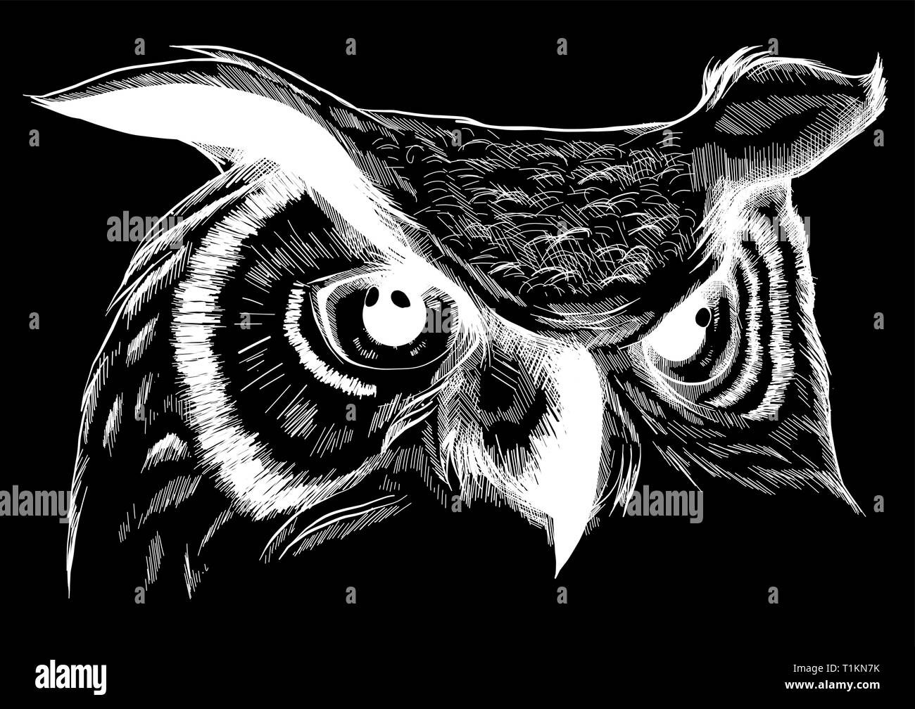 Owl-Vector Illustration. Icon Design auf schwarzem Hintergrund. Stock Vektor