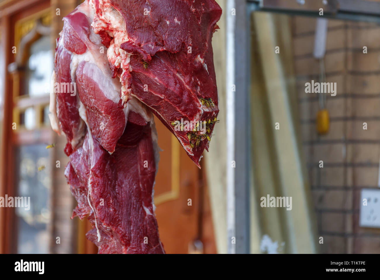 Fleisch essen, Wespen, gefangen in Kashgar (Provinz Xinjiang, China) Stockfoto