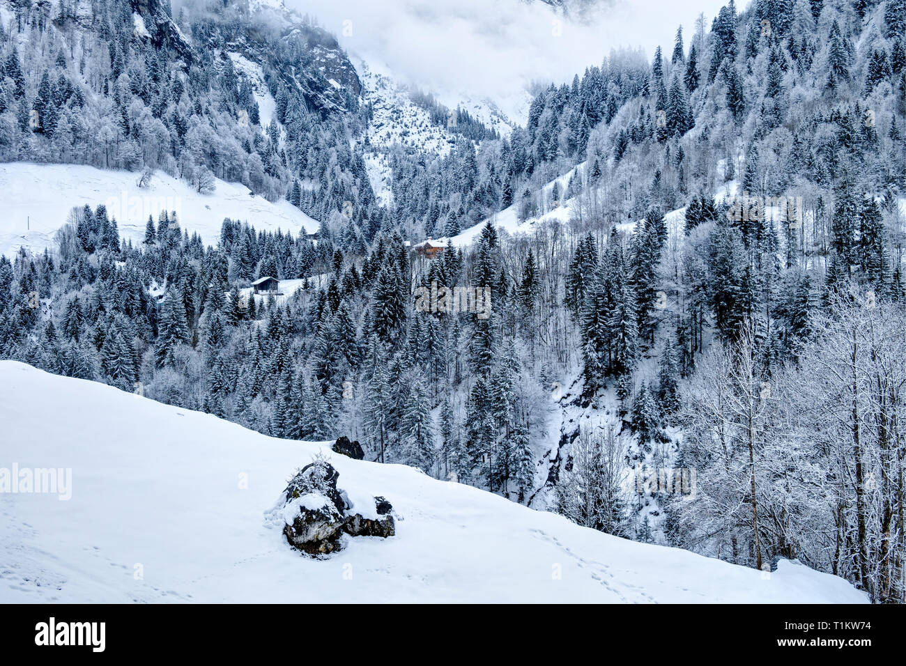 Österreich, Biosphärenpark Großes Walsertal, Buchboden, Berghütten, Wald bedeckt mit Schnee Stockfoto