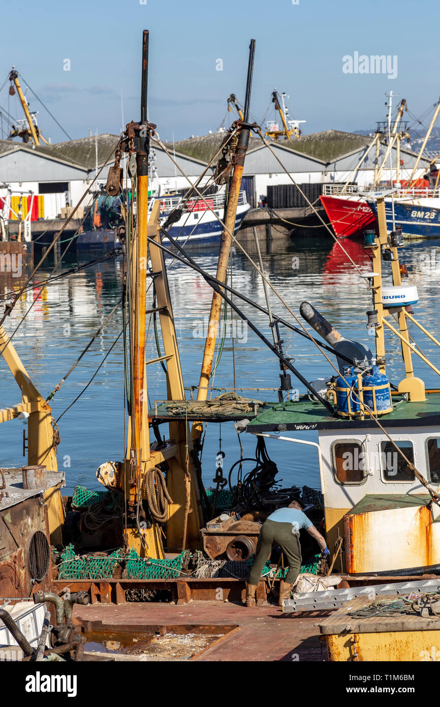 Brixham, Devon, Fischwirtschaft, Strand, Hafen, Store, Architektur, Wirtschaft Finanzen und Industrie, Fischfang, Küste, Küste, Stockfoto