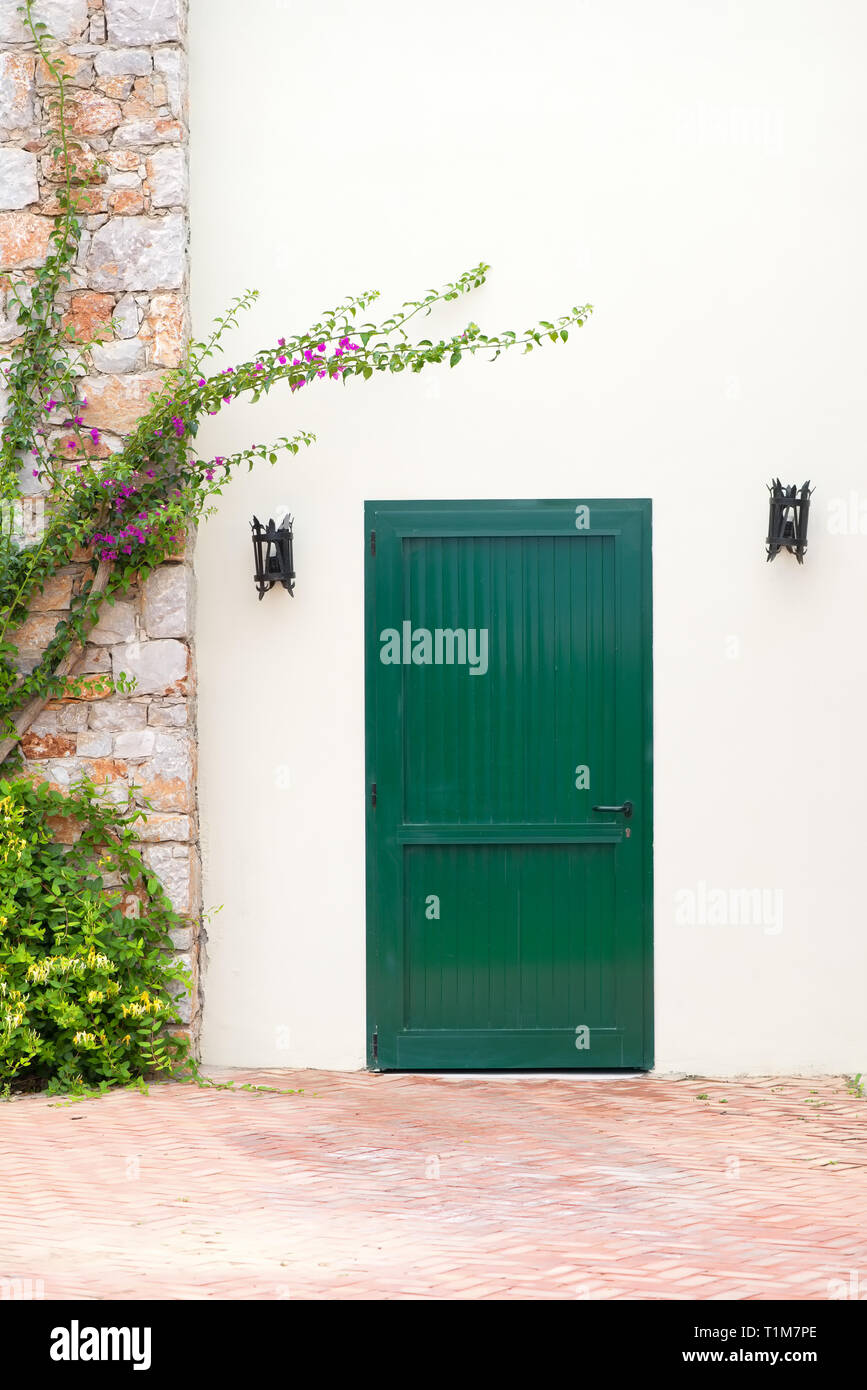 Vintage Green Door auf weiße Wand mit elektrischen Lampen und Anlagen Stockfoto