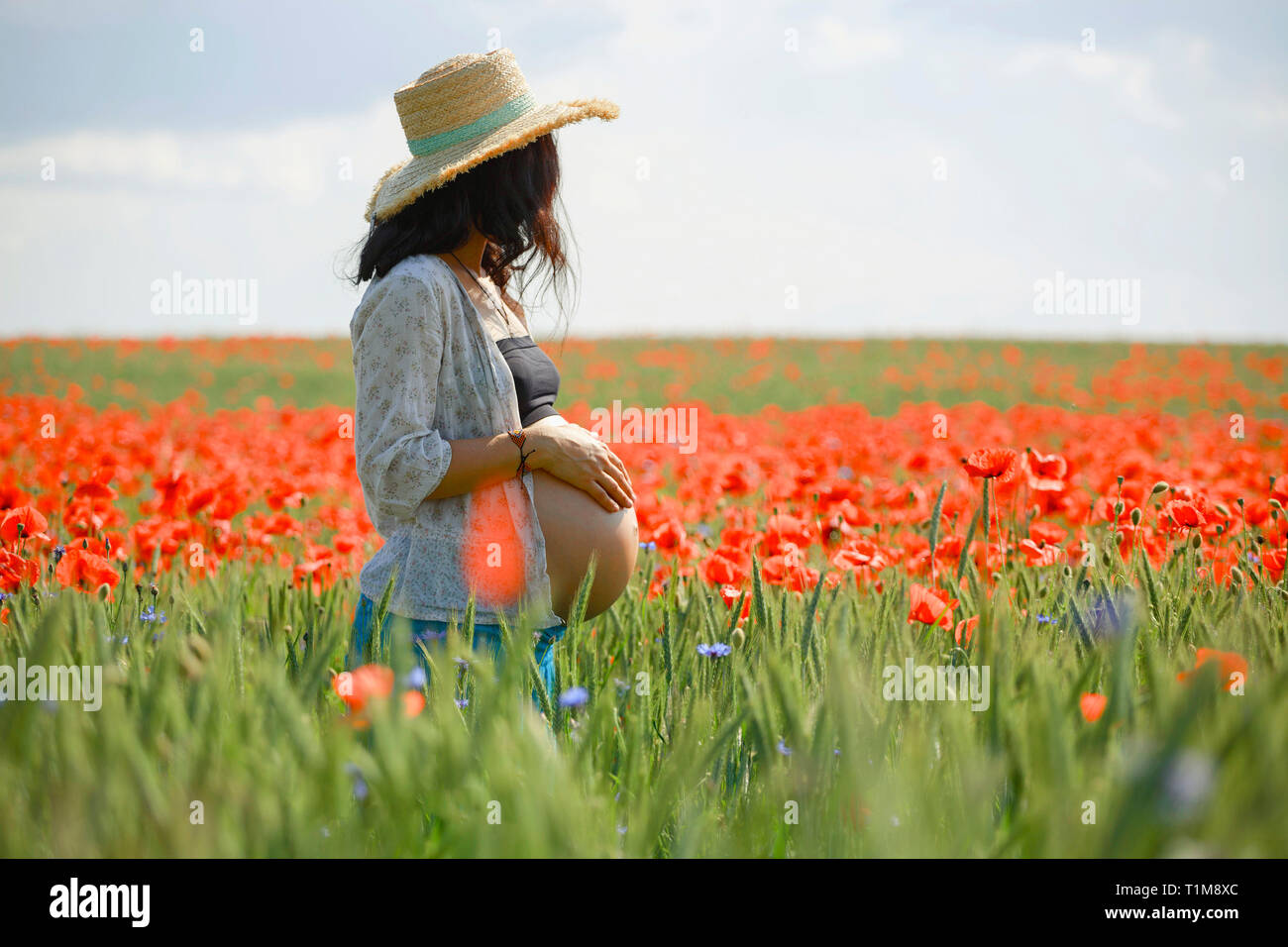 Eine Schwangerin steht auf einem sonnigen, idyllischen, ländlichen Feld mit rotem Mohn Stockfoto