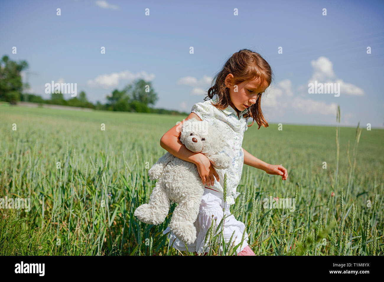 Mädchen mit Teddybär wandern in sonniger, ländlichen grünes Feld Stockfoto