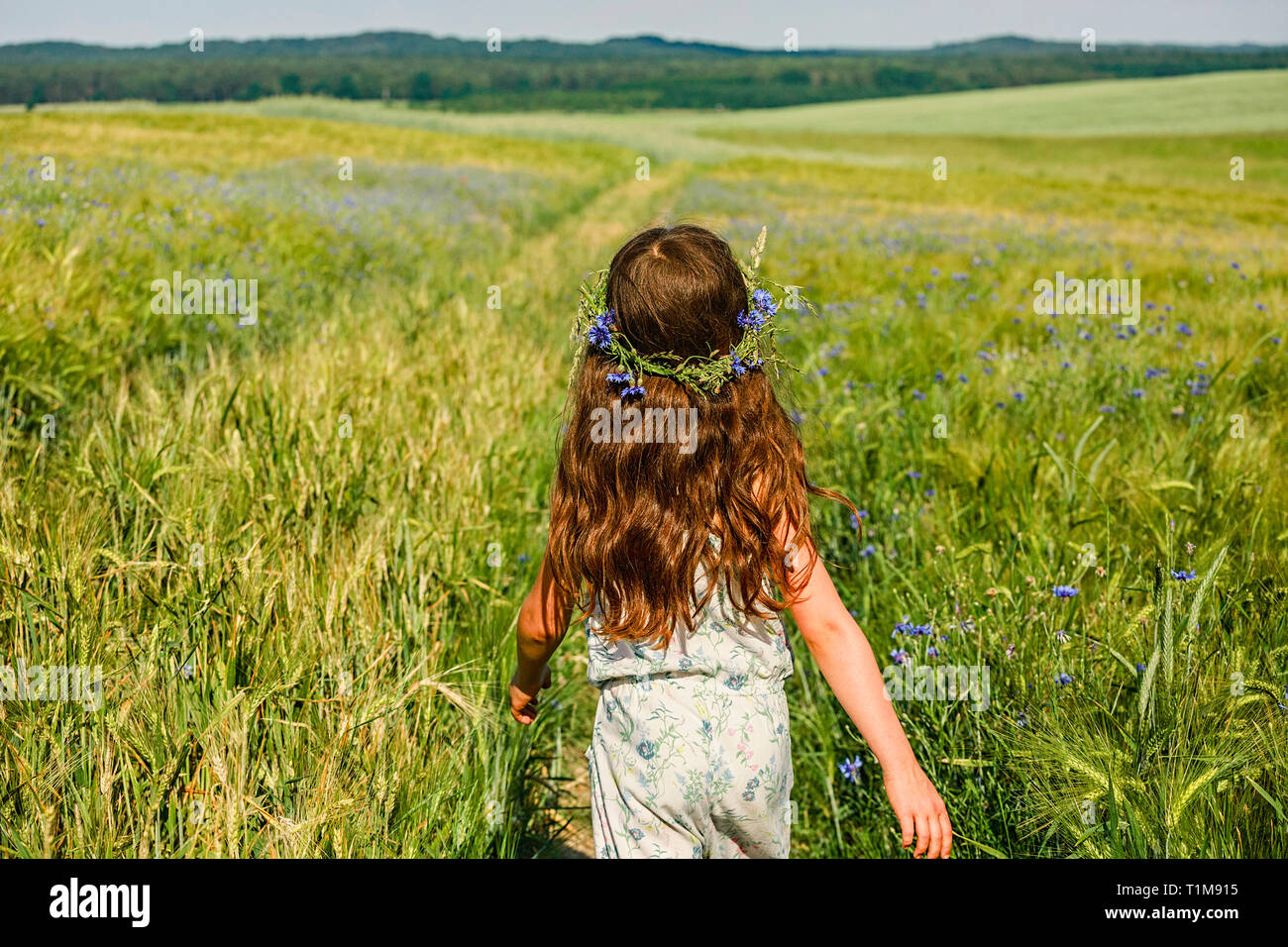 Mädchen mit Blumen im Haar auf einem sonnigen, idyllischen grünen Feld Stockfoto