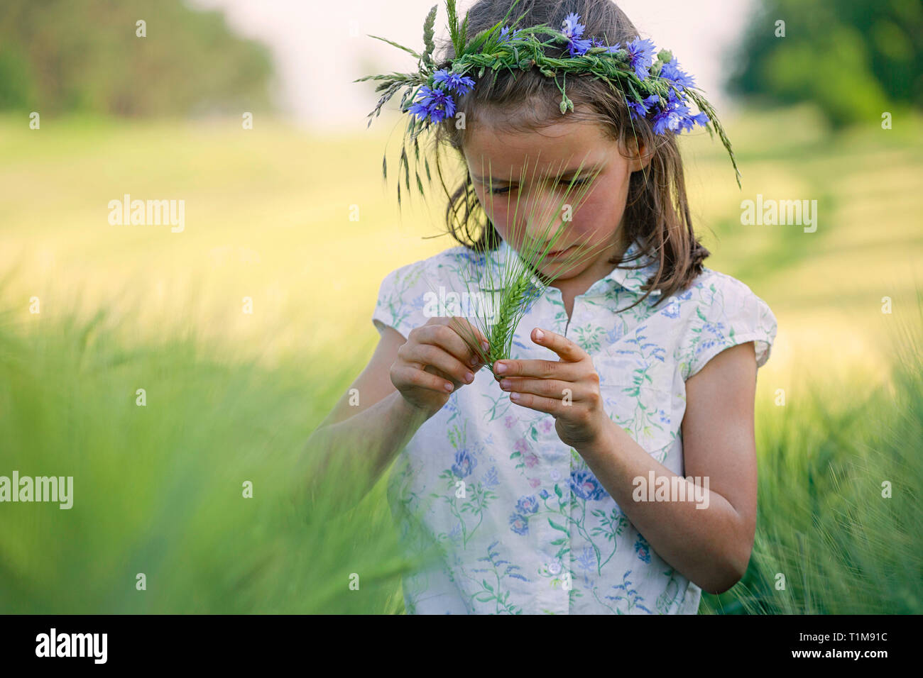 Neugierige Mädchen mit Blumen im Haar Prüfung grüner Weizen Stiel im ländlichen Bereich Stockfoto