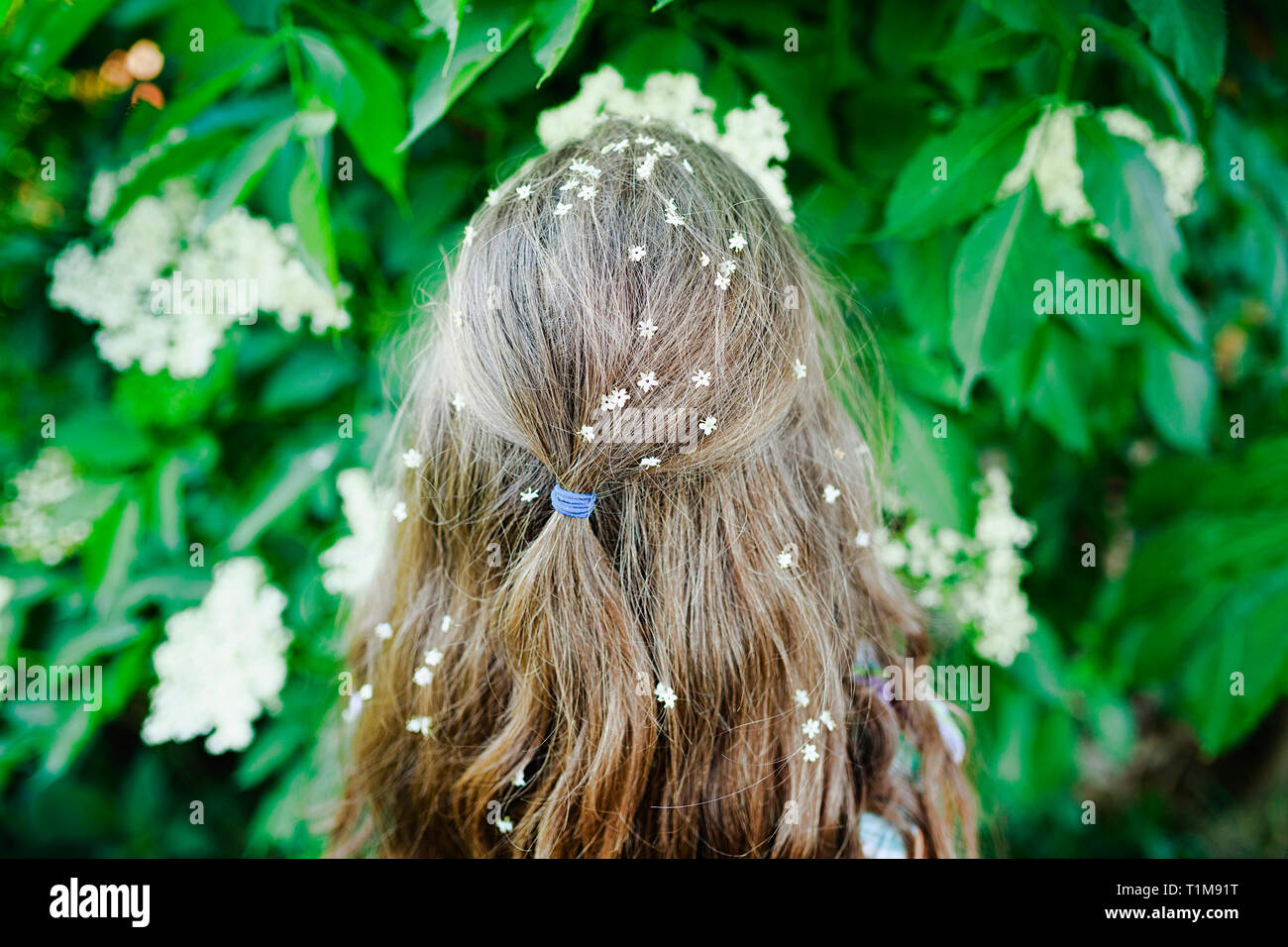 Mädchen mit Blumen im Haar an Blüte Bush Stockfoto