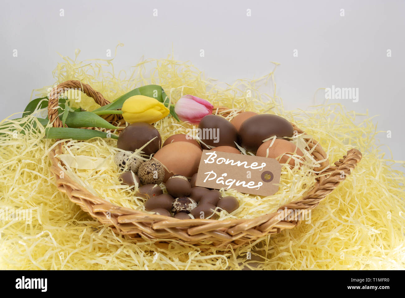 Bonnes Pâques ist Frohe Ostern in Französisch geschrieben auf eine Variable in einem Osterei Warenkorb und die Ankunft des Frühlings Stockfoto