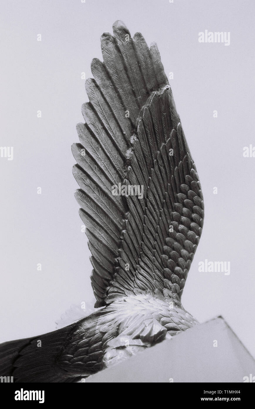 Vogel Skulptur in Kingston, Ontario, Kanada - Hohe Qualität gescannter Negative - 35 mm Stockfoto