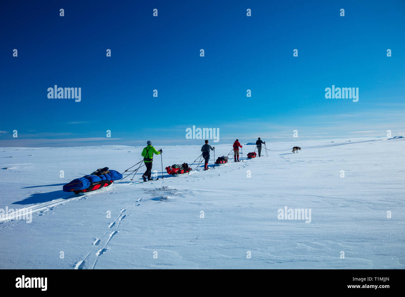 Cross Country Ski Touren Gruppe der Finnmarksvidda Plateau überquert. Finnmark, Das arktische Norwegen. Stockfoto