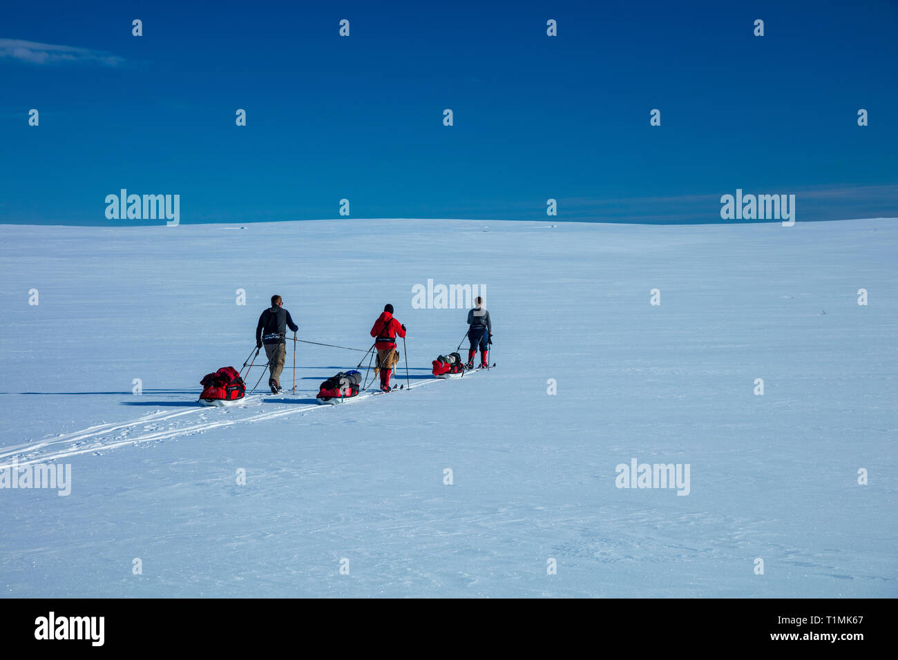 Cross Country Ski Touren Gruppe der Finnmarksvidda Plateau überquert. Finnmark, Das arktische Norwegen. Stockfoto