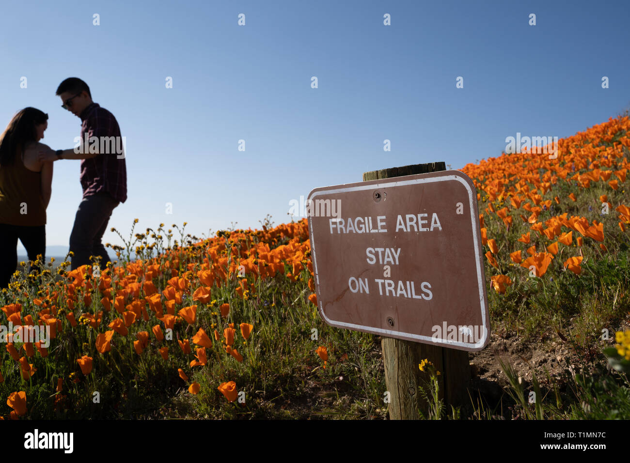 Lancaster, Kalifornien - 24. März 2019: Schild warnt Touristen an der Antelope Valley Poppy finden auf der Spur zu bleiben fragil Wildflower zu bewahren ein Stockfoto