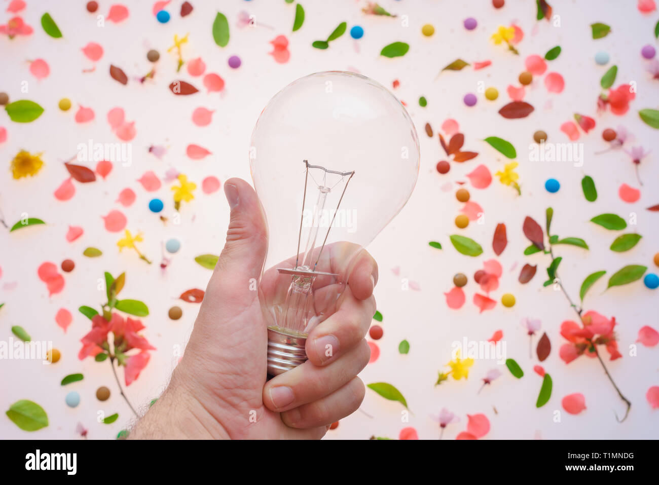 Die Glühbirne in der Hand, wie Kreativität und neue Ideen Konzept über den Frühling Blumenschmuck von bunten Blüten und Blätter Stockfoto