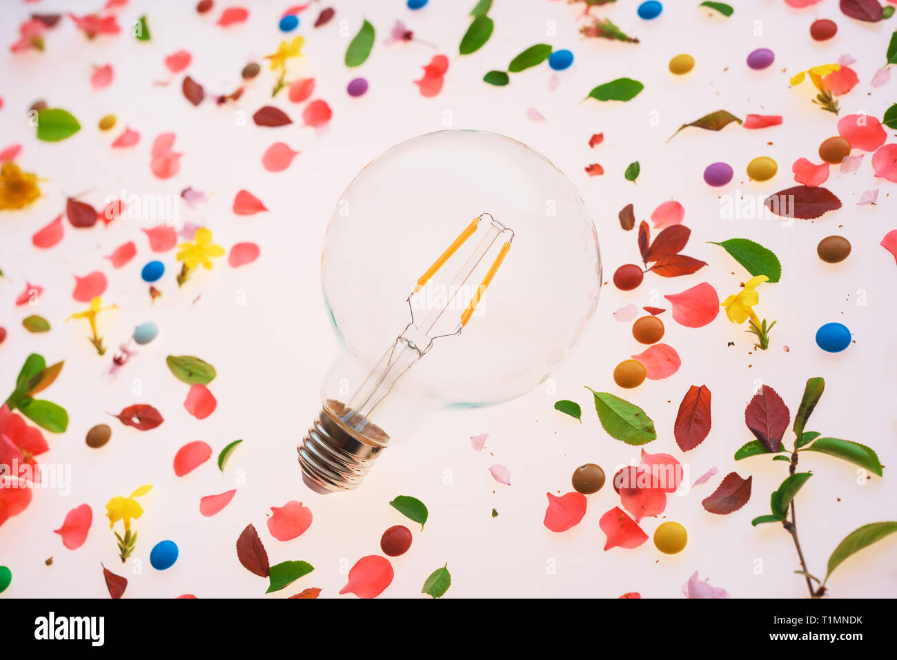 Glühlampe Kreativität und neue Ideen Konzept über den Frühling Blumenschmuck von bunten Blüten und Blätter Stockfoto