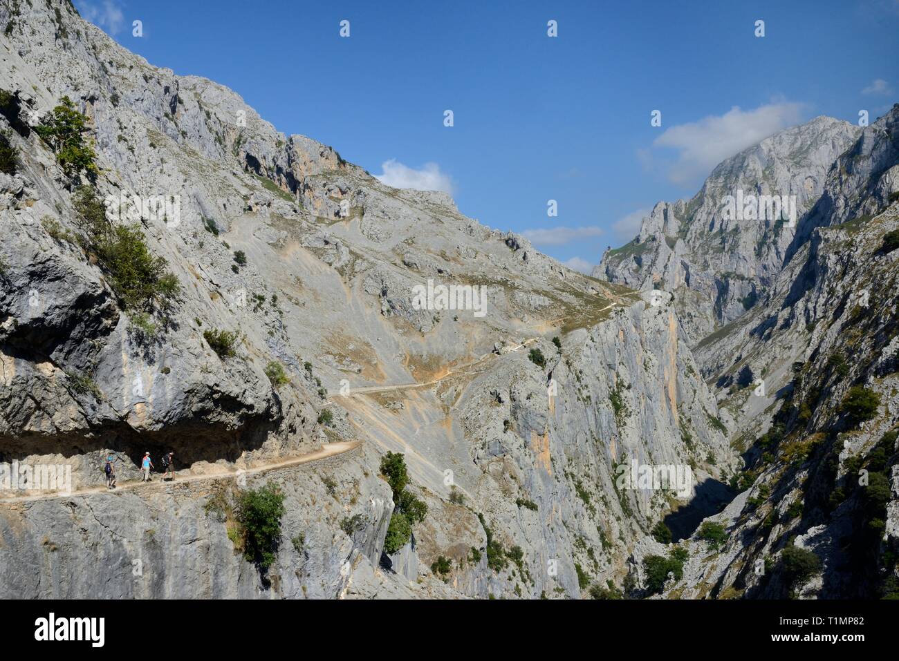 Drei Wanderer auf dem Cares Schlucht, Picos de Europa Berge, Asturien, Spanien, August 2016. Stockfoto