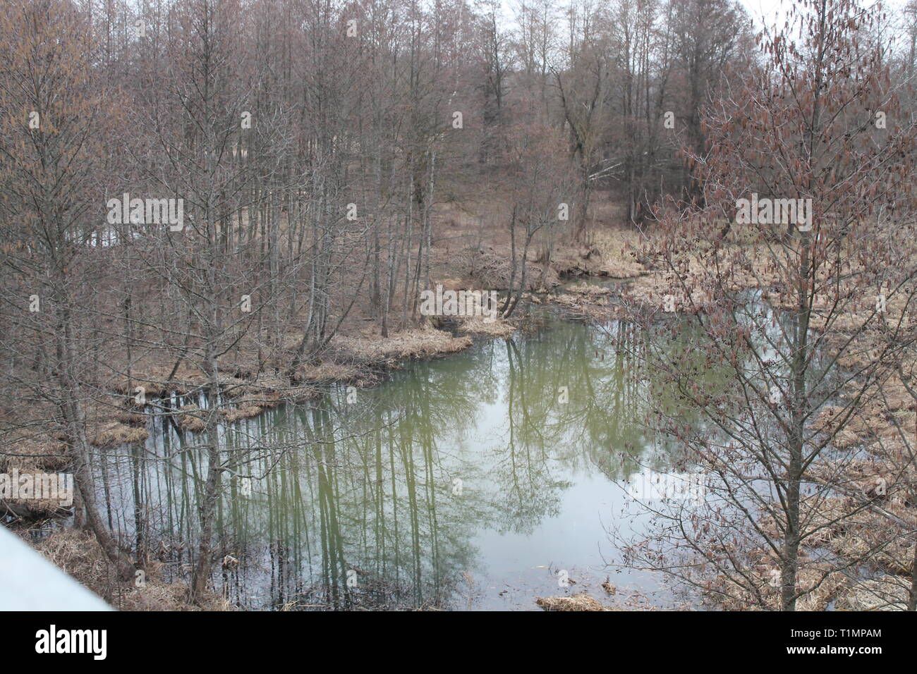 Ruhige friedliche Landschaft in Grau kalter Frühling Tag am Ufer des Flusses Stockfoto