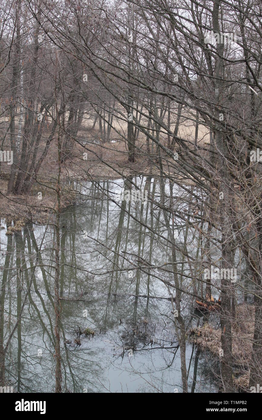 Ruhige friedliche Landschaft in Grau kalter Frühling Tag am Ufer des Flusses Stockfoto