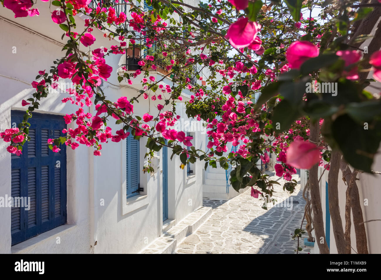 Blick auf eine schmale Straße in der Altstadt von Naoussa, Paros, Kykladen Stockfoto