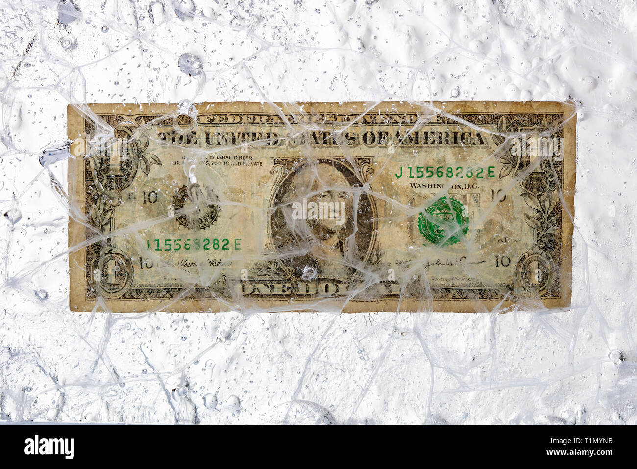 Dollarschein in einem Eisblock eingefroren. Konzept der blockierten Kapital- und Finanzkrise. Stockfoto
