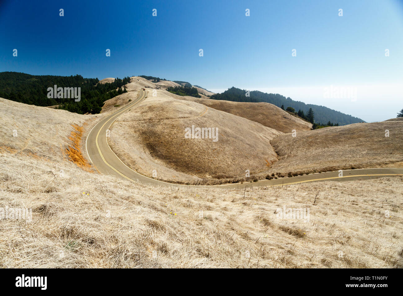 Lange kurvenreiche Straße zu Wein Land durch trockene Hügel von Marin County Reisen Stockfoto