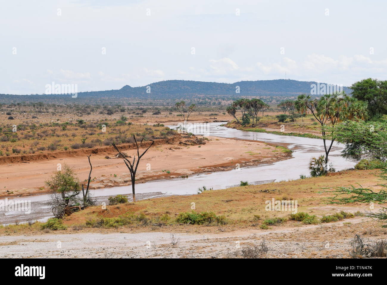 Ewaso Nyiro River in Samburu National Reserve, Kenia Stockfoto