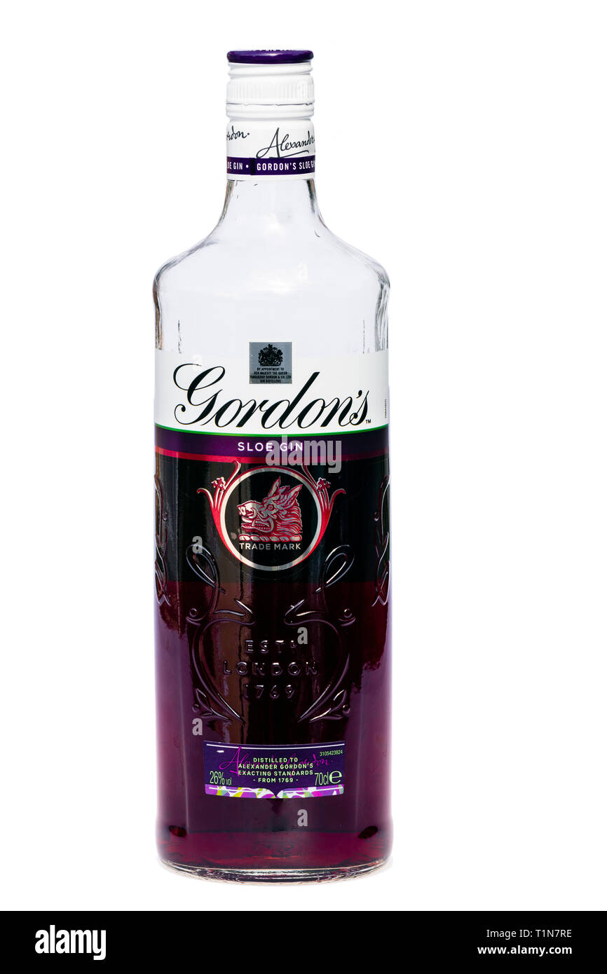 Die geöffnete Flasche von Gordon's Sloe Gin, ausgeschnitten oder auf einem weißen Hintergrund, UK isoliert. Stockfoto