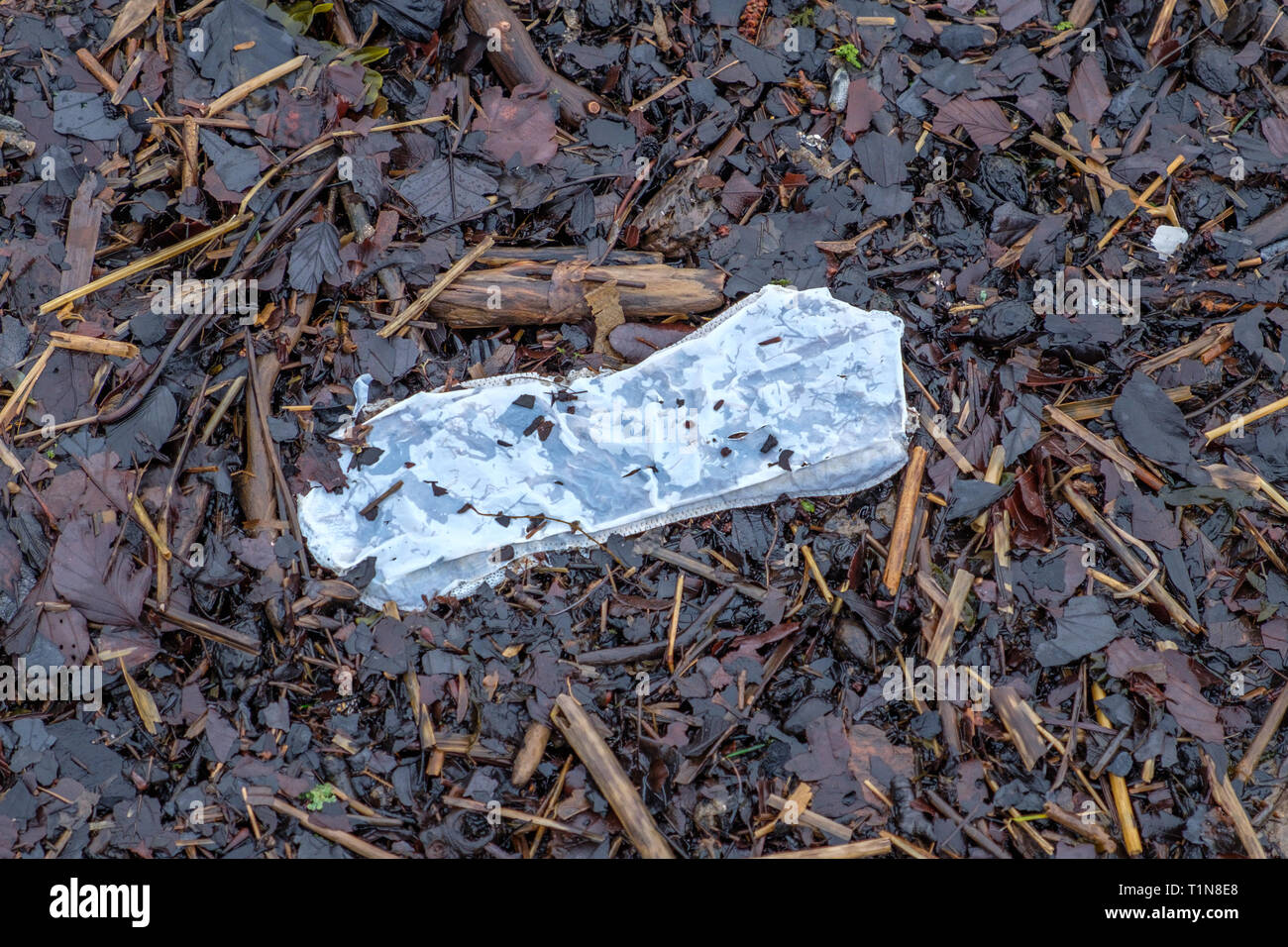 Umwelt Bild der Verschmutzung mit einem Ausgewaschen sanitory Handtuch am Strand in Irvine liegt in Schottland. Stockfoto