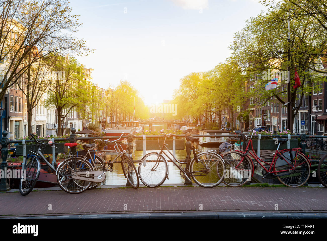 Mit dem Fahrrad über den Kanal die Stadt Amsterdam in Niederlande mit Blick auf den Fluss Amstel während des Sonnenuntergangs. Stockfoto