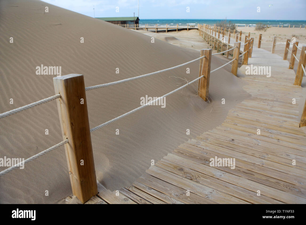 Sanddünen und am Strand von Riumar (Fluss Ebre delta), Tarragona, Katalonien, Spanien. Stockfoto