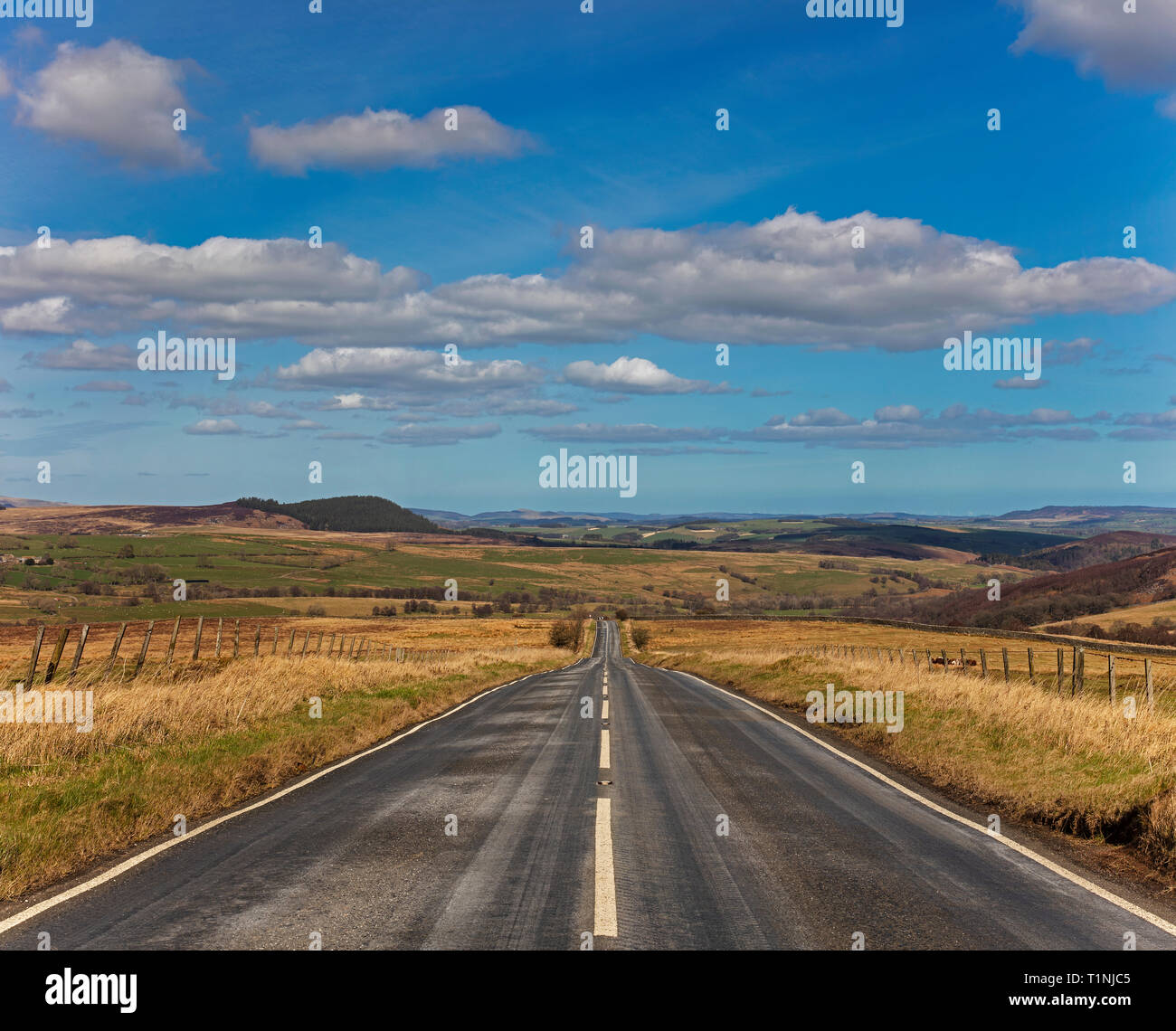 Landschaft Vista im Frühjahr in der Nähe von Elsdon, Northumberland Stockfoto