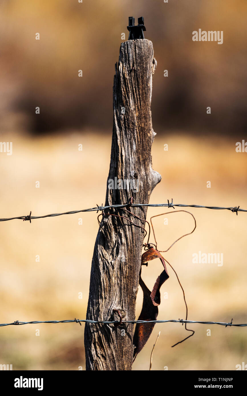 Nahaufnahme der Stacheldrahtzaun und verwitterten hölzernen Zaun Pfosten; Ranch in Colorado, USA Stockfoto