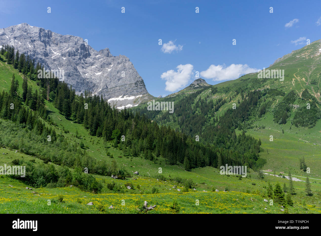 Schöne Bergwelt in den Alpen Stockfoto