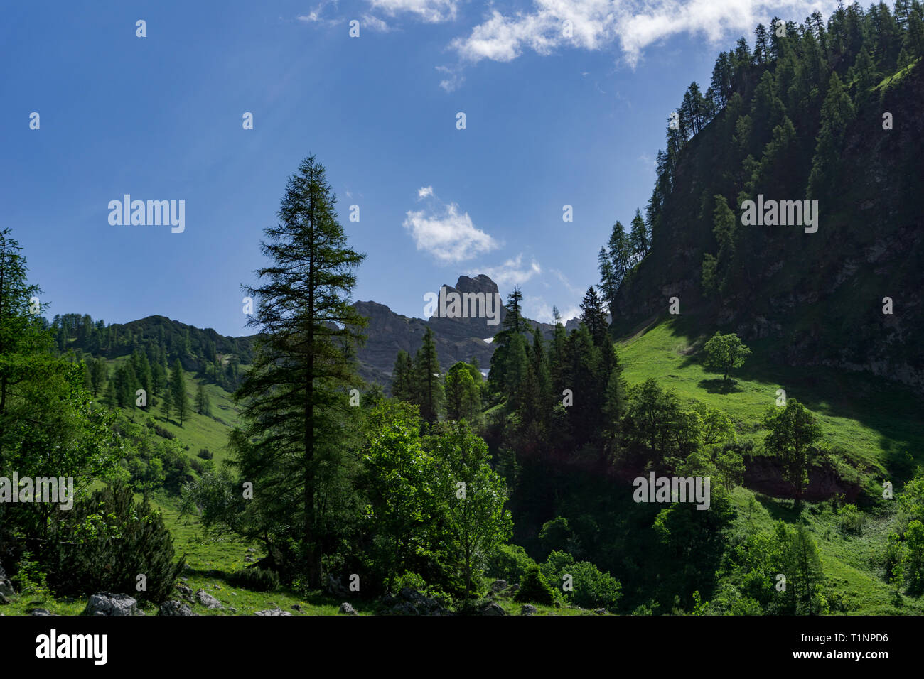 Wunderschöne alpine Landschaft in den Bergen von Österreich Stockfoto
