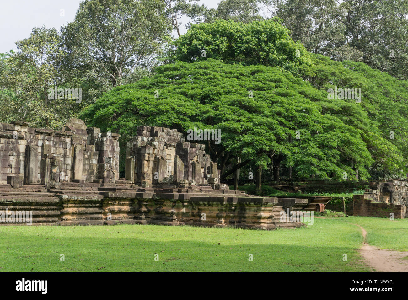 Antike Ruinen im Inneren der Tempelanlage Angkor Wat in der Nähe von Siem Reap, Kambodscha Stockfoto