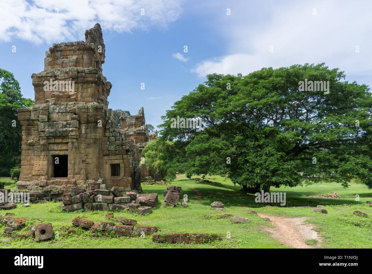 Antike Ruinen und riesigen Baum mit großen Vordach in Angkor Tempel Komplex Stockfoto