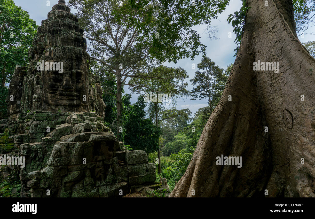 Angkor Ruinen tief in die üppige und üppigen Dschungel von Kambodscha ausgeblendet Stockfoto